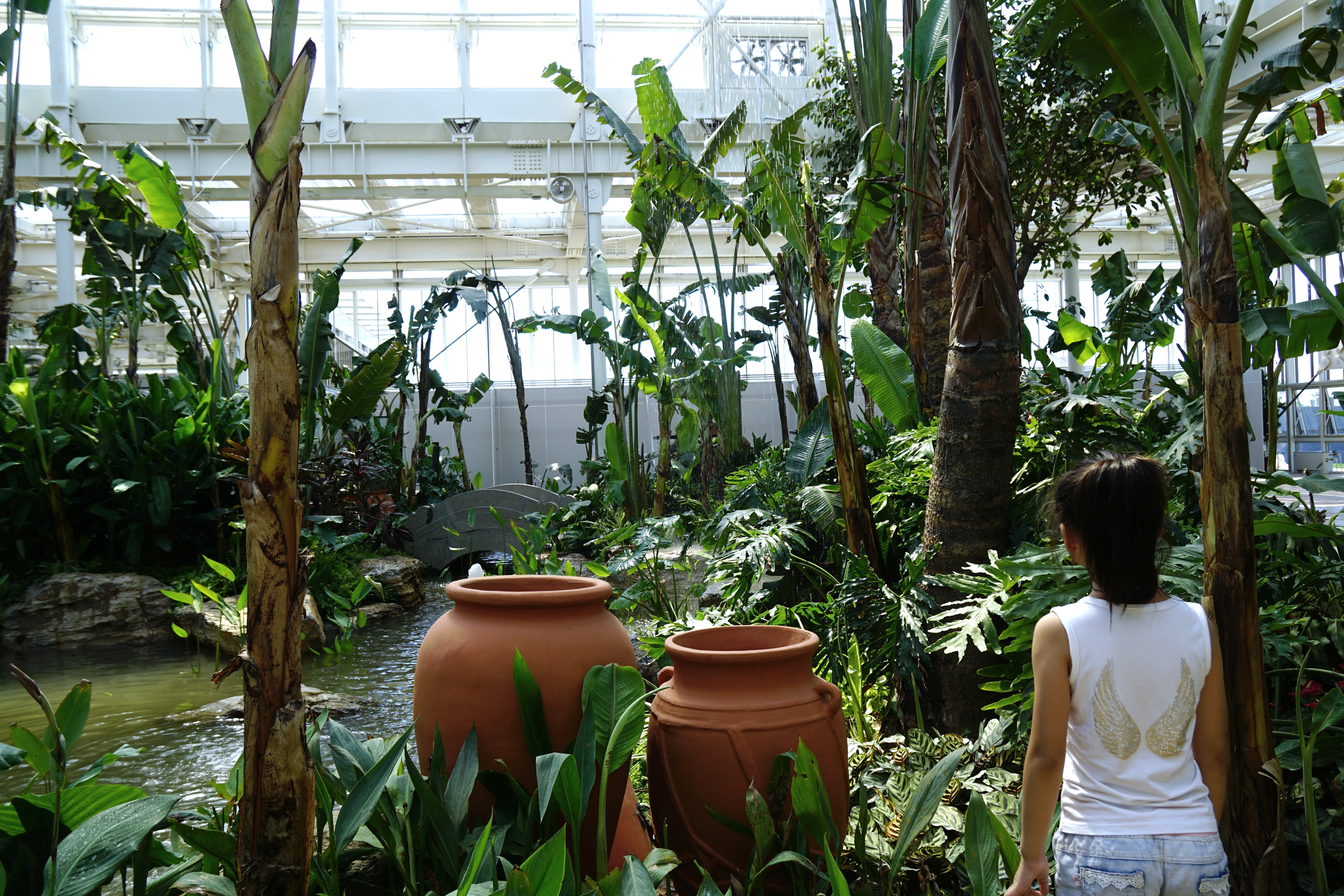 Garden of musa