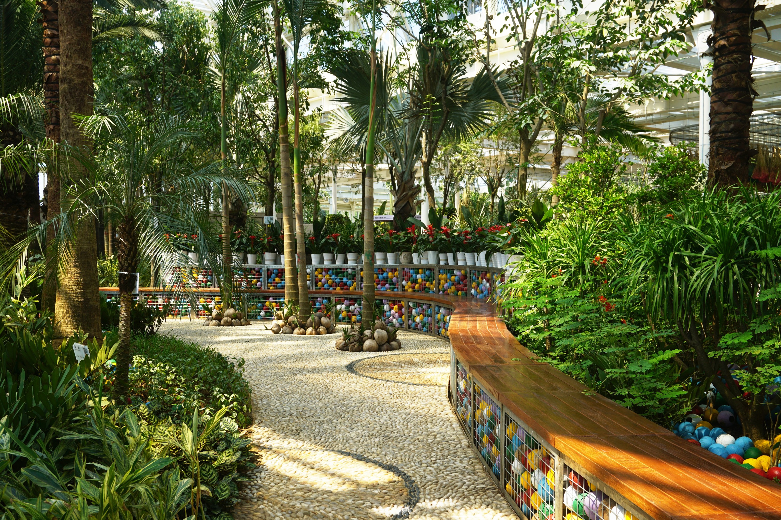 Garden of palms