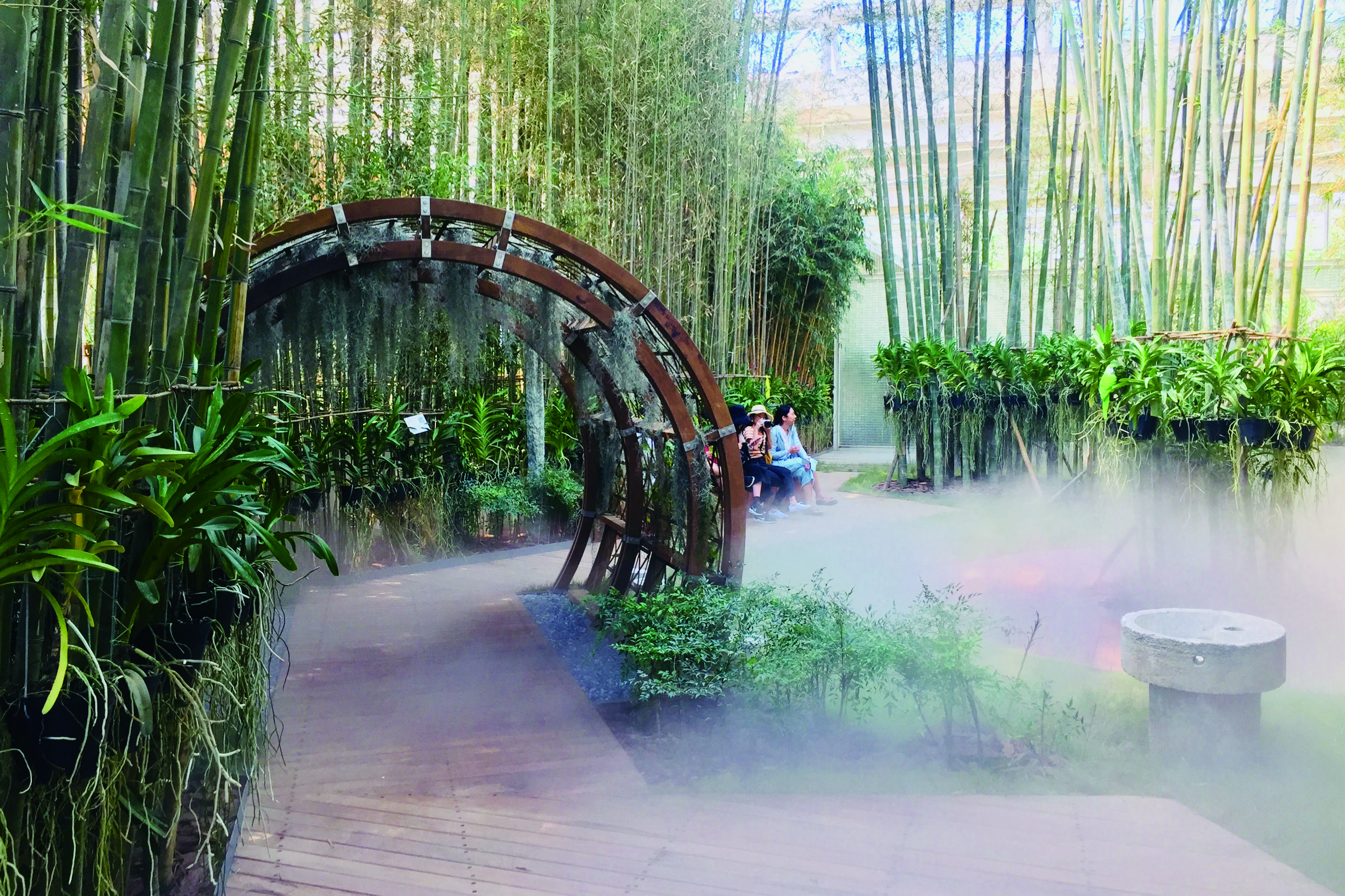 Garden of bamboo